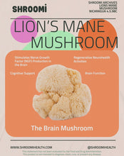 Load image into Gallery viewer, Shroomi • Mushroom Coffee (Medium Roast)