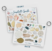 Load image into Gallery viewer, Laminated Seashell Guide