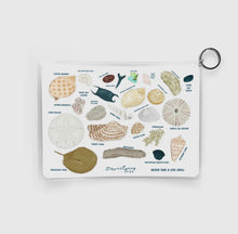 Load image into Gallery viewer, Laminated Seashell Guide